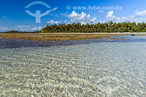  Vista das piscina natural da Praia de Moreré  - Cairu - Bahia (BA) - Brasil