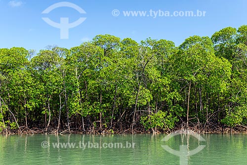  Vista de mangue na foz do Rio Catu na Ponta dos Castelhanos  - Cairu - Bahia (BA) - Brasil