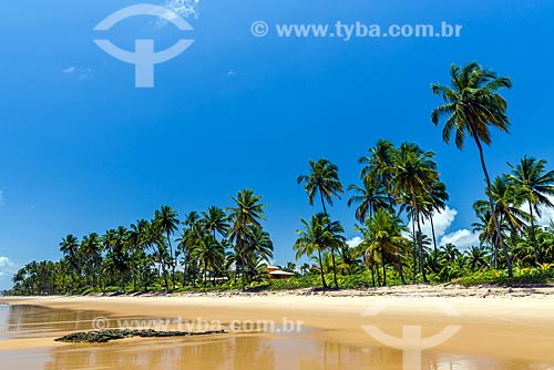  Vista da orla da Praia da Bombaça  - Maraú - Bahia (BA) - Brasil