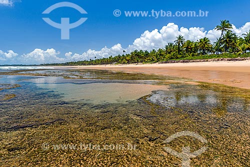  Piscina natural na Praia de taipús de fora  - Maraú - Bahia (BA) - Brasil