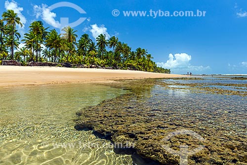  Piscina natural na Praia de taipús de fora  - Maraú - Bahia (BA) - Brasil
