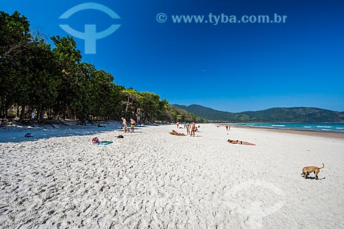  Banhistas na Praia de Lopes Mendes  - Angra dos Reis - Rio de Janeiro (RJ) - Brasil