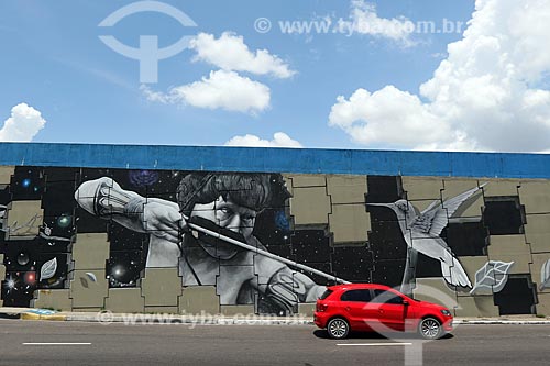  Grafite de Raiz Campos com temas amazônicos no Complexo Viário Gilberto Mestrinho  - Manaus - Amazonas (AM) - Brasil