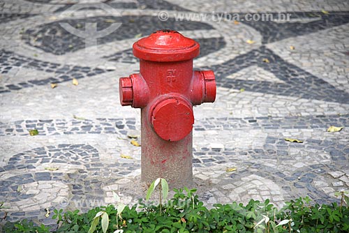  Detalhe de hidrante e calçamento em pedra portuguesa em frente ao Museu Nacional de Belas Artes  - Rio de Janeiro - Rio de Janeiro (RJ) - Brasil