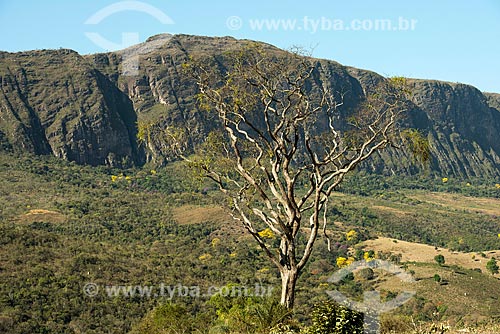  Vista de chapada no Parque Nacional da Serra da Canastra  - São Roque de Minas - Minas Gerais (MG) - Brasil