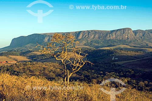  Vista de chapada no Parque Nacional da Serra da Canastra  - São Roque de Minas - Minas Gerais (MG) - Brasil