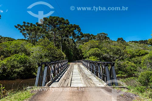  Ponte de madeira sobre rio no Parque Nacional dos Aparados da Serra  - Cambará do Sul - Rio Grande do Sul (RS) - Brasil