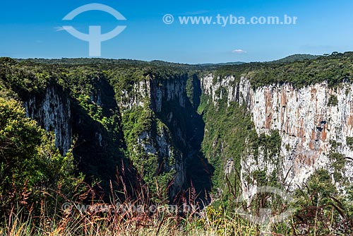  Vista do Cânion do Itaimbezinho durante a trilha do cotovelo no Parque Nacional dos Aparados da Serra  - Cambará do Sul - Rio Grande do Sul (RS) - Brasil
