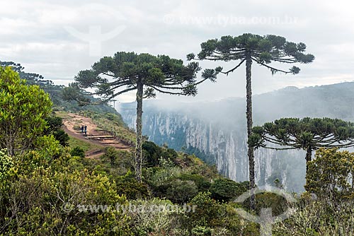  Vista do Cânion do Itaimbezinho durante a trilha do vértice no Parque Nacional dos Aparados da Serra  - Cambará do Sul - Rio Grande do Sul (RS) - Brasil