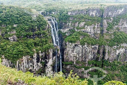  Vista da Cachoeira do Tigre Preto no Parque Nacional da Serra Geral  - Cambará do Sul - Rio Grande do Sul (RS) - Brasil