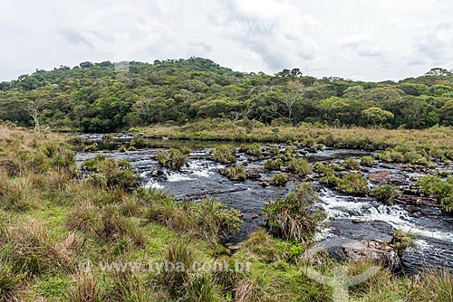  Vista do Arroio do Segredo no Parque Nacional da Serra Geral  - Cambará do Sul - Rio Grande do Sul (RS) - Brasil