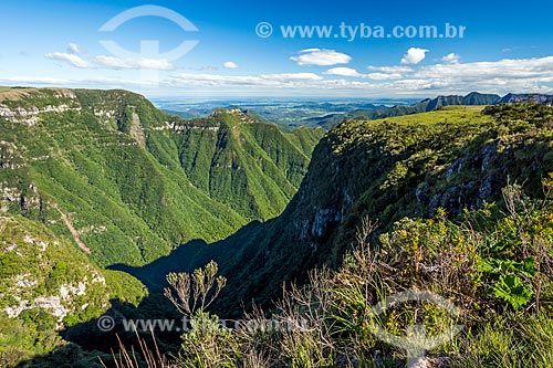  Vista do Cânion Montenegro entre as cidades de São José dos Ausentes e Bom Jardim da Serra  - São José dos Ausentes - Rio Grande do Sul (RS) - Brasil