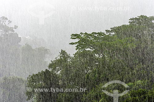  Tempestade em árvores no Rio de Janeiro  - Rio de Janeiro - Rio de Janeiro (RJ) - Brasil