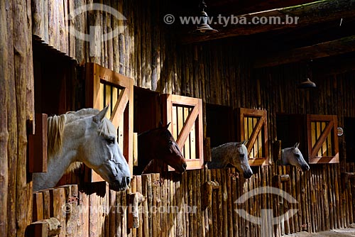  Estábulo com cavalos em fazenda no Vale do Paraíba  - Campos do Jordão - São Paulo (SP) - Brasil