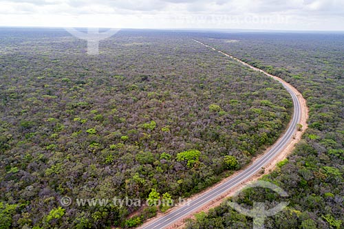  Foto feita com drone da Floresta Nacional do Araripe-Apodi com a Rodovia CE-060 - também conhecida como Rodovia Padre Cícero  - Barbalha - Ceará (CE) - Brasil