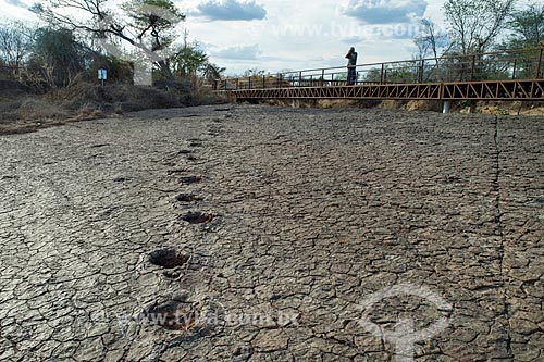  Foto feita com drone de pegadas no Monumento natural do Vale dos Dinossauros  - Sousa - Paraíba (PB) - Brasil