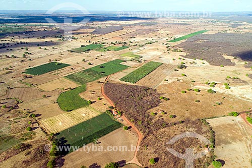  Foto feita com drone da caatinga do Planalto da Borborema com áreas de plantação  - Mauriti - Ceará (CE) - Brasil