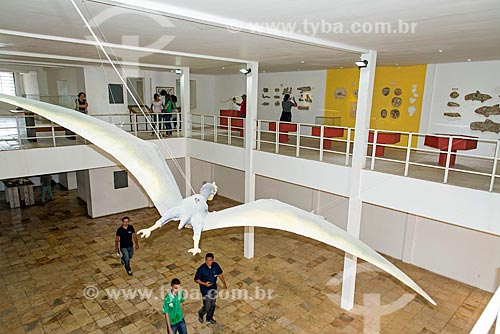  Interior do Museu de Paleontologia da Universidade Regional do Cariri  - Santana do Cariri - Ceará (CE) - Brasil