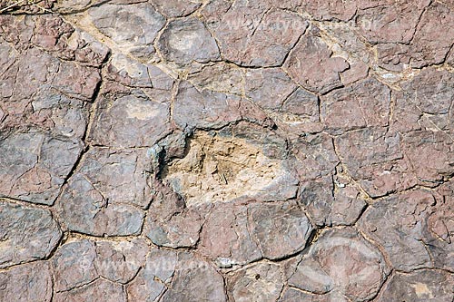  Detalhe de pegadas fossilizadas no Rio do Peixe na área do Monumento natural do Vale dos Dinossauros  - Sousa - Paraíba (PB) - Brasil