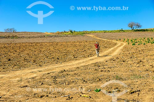  Trabalhador rural caminhando em área de plantio de fazenda  - Guarani - Minas Gerais (MG) - Brasil