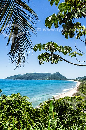  Vista da Praia da Armação do Pântano do Sul a partir do mirante da Casa de Retiros Vila Fátima  - Florianópolis - Santa Catarina (SC) - Brasil