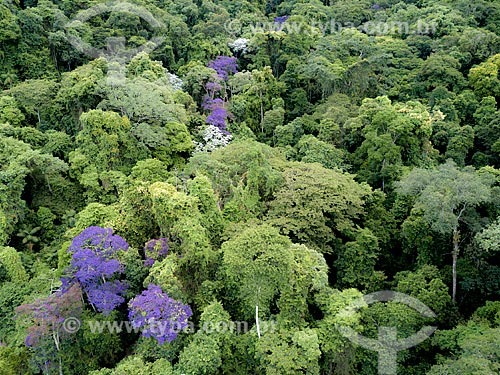  Foto feita com drone do Parque Nacional da Tijuca  - Rio de Janeiro - Rio de Janeiro (RJ) - Brasil