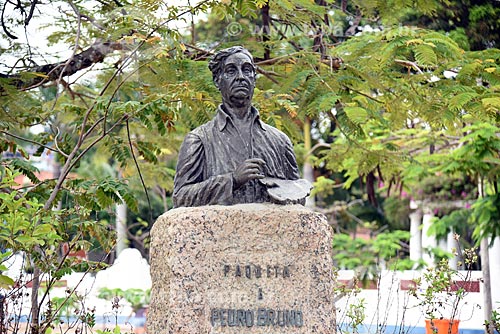  Detalhe do busto de Pedro Bruno (1948) - poeta, músico, pintor e escultor nascido na Ilha de Paquetá  - Rio de Janeiro - Rio de Janeiro (RJ) - Brasil