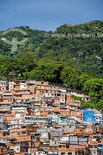  Detalhe da divisa entre a Favela do Cerro Corá e a vegetação  - Rio de Janeiro - Rio de Janeiro (RJ) - Brasil
