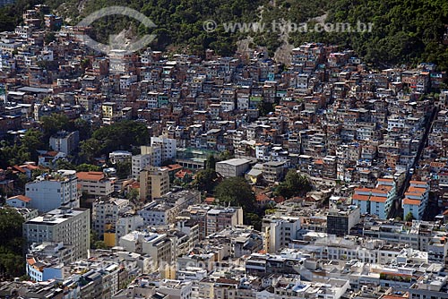  Foto aérea da Favela Pavão Pavãozinho  - Rio de Janeiro - Rio de Janeiro (RJ) - Brasil