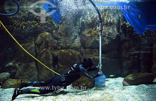  Mergulhador limpando o aquário do AquaRio - aquário marinho da cidade do Rio de Janeiro  - Rio de Janeiro - Rio de Janeiro (RJ) - Brasil