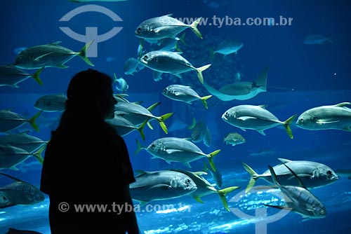  Silhueta de pessoa observando os peixes no AquaRio - aquário marinho da cidade do Rio de Janeiro  - Rio de Janeiro - Rio de Janeiro (RJ) - Brasil