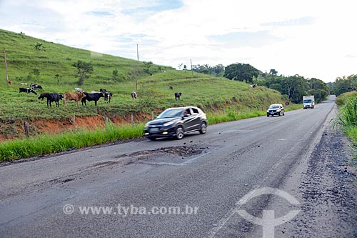  Má conservação do asfalto da Rodovia MG-126 entre as cidades de Guarani e Rio Novo com gado no pasto ao fundo  - Rio Novo - Minas Gerais (MG) - Brasil