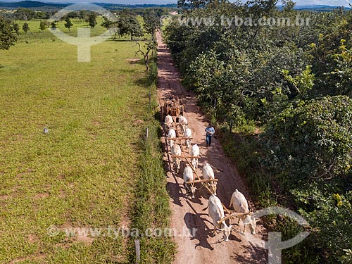  Foto feita com drone da carro de boi transportando madeiras  - Mossâmedes - Goiás (GO) - Brasil