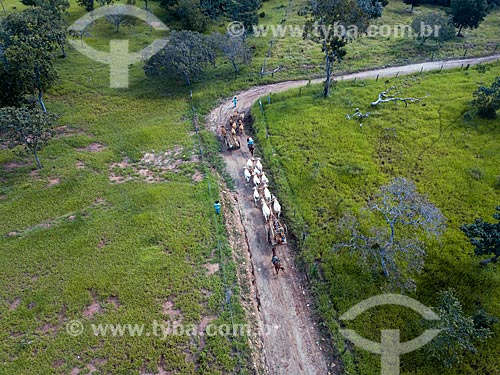  Foto feita com drone da carro de boi transportando madeiras  - Mossâmedes - Goiás (GO) - Brasil