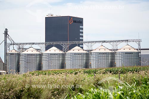  Vista de silos da empresa Milhão Alimentos a partir do Km 26 da Rodovia Jayme Câmara (GO-070) - sentido norte  - Goiás - Goiás (GO) - Brasil