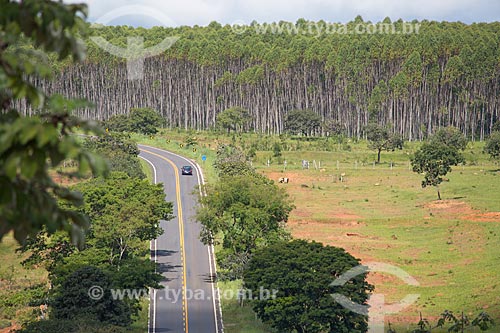  Vista da Rodovia GO-164 - entre a cidade de Goiás e Mossâmedes - com plantação de eucalipto ao fundo  - Goiás - Goiás (GO) - Brasil