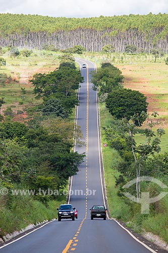  Vista da Rodovia GO-164 - entre a cidade de Goiás e Mossâmedes - com plantação de eucalipto ao fundo  - Goiás - Goiás (GO) - Brasil