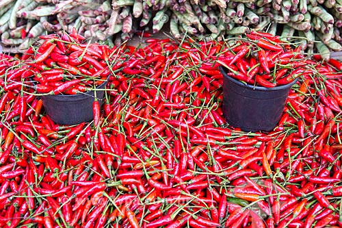  Detalhe de pimenta-malagueta à venda em feira livre  - Goiânia - Goiás (GO) - Brasil