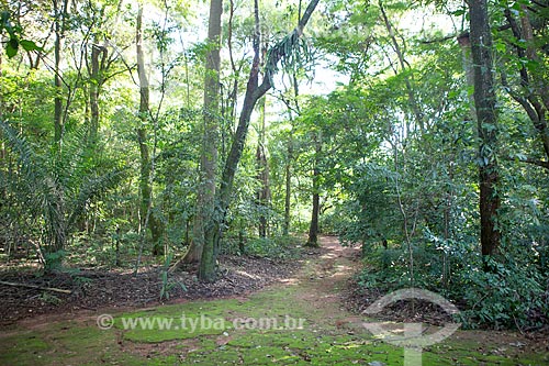  Trilha no Bosque dos Buritis  - Goiânia - Goiás (GO) - Brasil