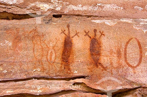  Detalhe de pintura rupestre - figura de animais - no Sítio Arqueológico Toca do João Arsena no Parque Nacional Serra da Capivara  - São Raimundo Nonato - Piauí (PI) - Brasil