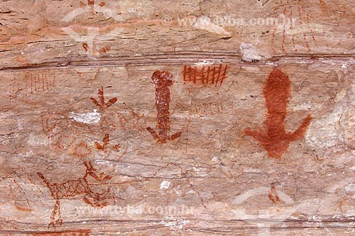  Detalhe de pinturas rupestres no Sítio Arqueológico Toca do João Arsena no Parque Nacional Serra da Capivara  - São Raimundo Nonato - Piauí (PI) - Brasil