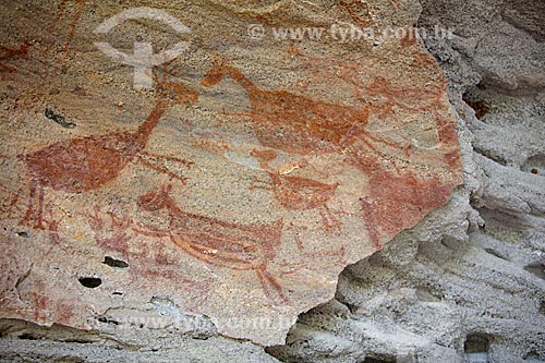 Detalhe de pintura rupestre - figura de animais - no Sítio Arqueológico Toca da Entrada do Pajaú no Parque Nacional Serra da Capivara  - São Raimundo Nonato - Piauí (PI) - Brasil