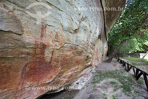  Detalhe de pinturas rupestres no Sítio Arqueológico Toca Pinga do Boi no Parque Nacional Serra da Capivara  - São Raimundo Nonato - Piauí (PI) - Brasil