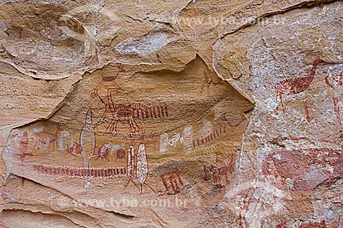  Detalhe de pintura rupestre - figura de animais - no Sítio Arqueológico Toca do Boqueirão da Pedra Furada no Parque Nacional Serra da Capivara  - Coronel José Dias - Piauí (PI) - Brasil