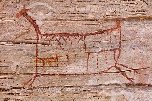  Detalhe de pintura rupestre - figura de animal - no Sítio Arqueológico Toca do João Arsena no Parque Nacional Serra da Capivara  - São Raimundo Nonato - Piauí (PI) - Brasil