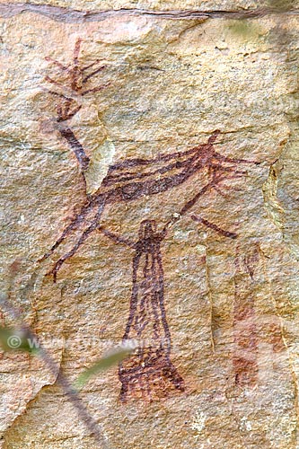  Detalhe de pintura rupestre - figura de animais e pessoas - no Sítio Arqueológico Toca Pinga do Boi no Parque Nacional Serra da Capivara  - São Raimundo Nonato - Piauí (PI) - Brasil