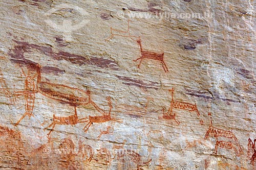  Detalhe de pintura rupestre - figuras de animais - no Sítio Arqueológico Toca Pinga do Boi no Parque Nacional Serra da Capivara  - São Raimundo Nonato - Piauí (PI) - Brasil
