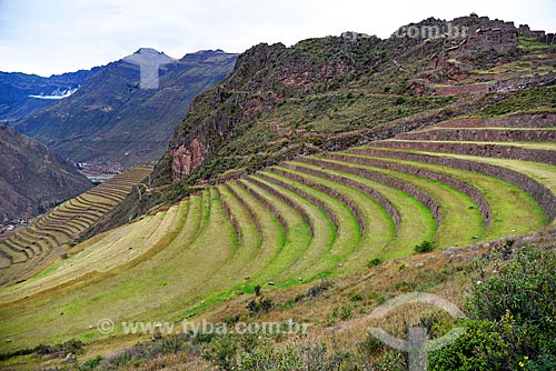  Ruínas de terraço no Parque Arqueológico de Písac  - Písac - Departamento de Cusco - Peru