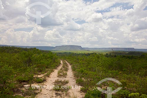  Vista da Serra das Mangabeiras durante a trilha no Parque Nacional das Nascentes do Rio Parnaíba  - Barreiras do Piauí - Piauí (PI) - Brasil
