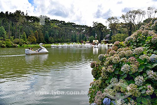  Pedalinhos no lago do Parque do Lago Negro  - Gramado - Rio Grande do Sul (RS) - Brasil